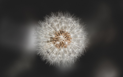 EMDR